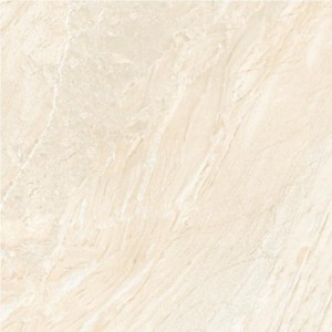 Gạch lát sàn Trường Thịnh STONE TEXTURE TT66200
